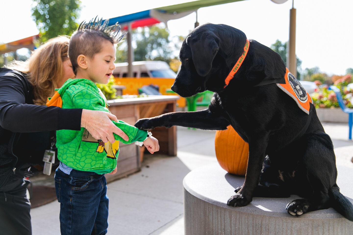 A young boy interacts with a therapy dog during an animal-assisted therapy session in the outdoor garden.